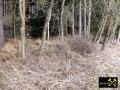 Bergschadensbereich auf dem Neuglück Flachen am Grünlaßbach bei Schlettau, Revier Annaberg, Erzgebirge, Sachsen, (D) (8) 02.03.2014.JPG